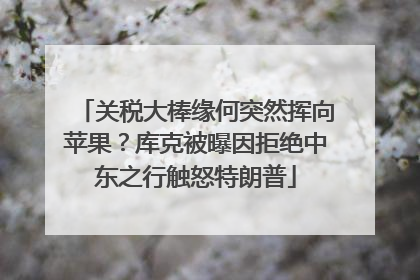 关税大棒缘何突然挥向苹果？库克被曝因拒绝中东之行触怒特朗普