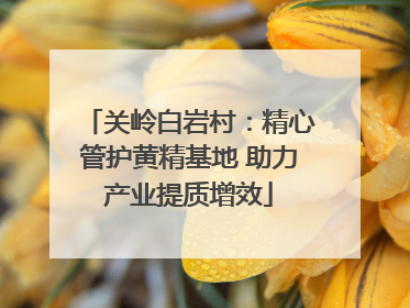 关岭白岩村：精心管护黄精基地 助力产业提质增效