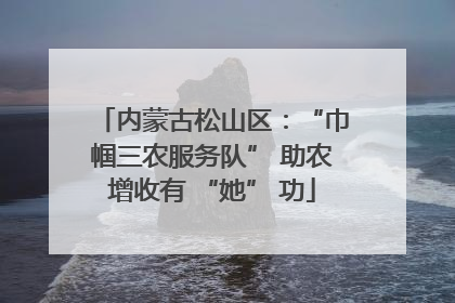 内蒙古松山区：“巾帼三农服务队” 助农增收有 “她” 功