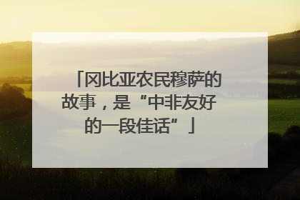 冈比亚农民穆萨的故事，是“中非友好的一段佳话”