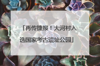 再传捷报！大河村入选国家考古遗址公园