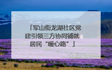 军山街龙湖社区党建引领三方协同铺就居民“暖心路”