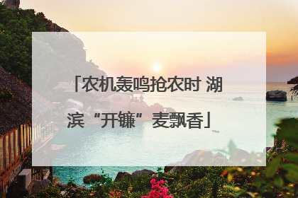 农机轰鸣抢农时 湖滨“开镰”麦飘香