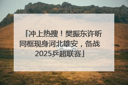 冲上热搜！樊振东许昕同框现身河北雄安，备战2025乒超联赛