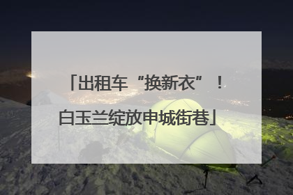 出租车“换新衣”！白玉兰绽放申城街巷