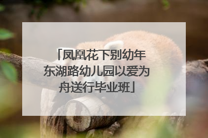凤凰花下别幼年 东湖路幼儿园以爱为舟送行毕业班