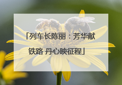 列车长陈丽：芳华献铁路 丹心映征程