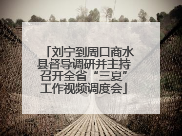 刘宁到周口商水县督导调研并主持召开全省“三夏”工作视频调度会
