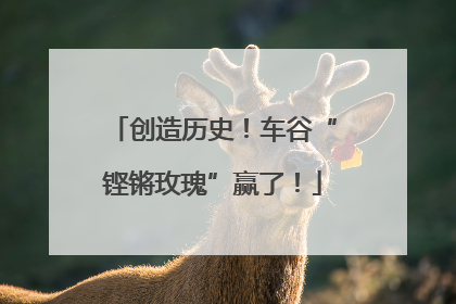 创造历史！车谷“铿锵玫瑰”赢了！