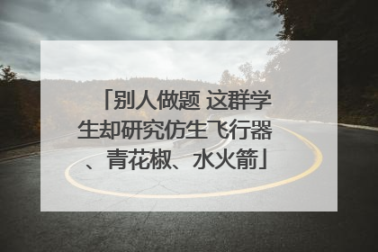 别人做题 这群学生却研究仿生飞行器、青花椒、水火箭