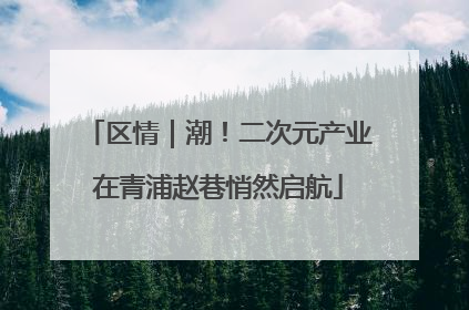 区情｜潮！二次元产业在青浦赵巷悄然启航