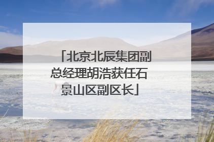 北京北辰集团副总经理胡浩获任石景山区副区长