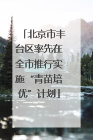 北京市丰台区率先在全市推行实施“青苗培优”计划