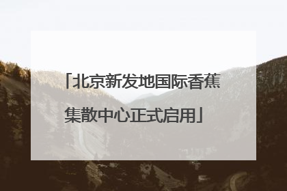 北京新发地国际香蕉集散中心正式启用