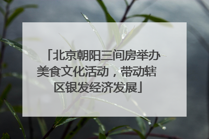 北京朝阳三间房举办美食文化活动，带动辖区银发经济发展