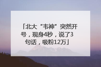 北大“韦神”突然开号，现身4秒，说了3句话，吸粉12万