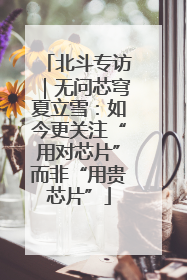 北斗专访｜无问芯穹夏立雪：如今更关注“用对芯片”而非“用贵芯片”