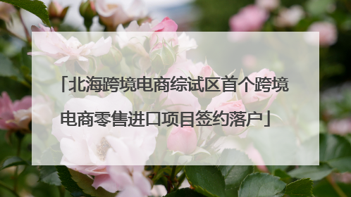 北海跨境电商综试区首个跨境电商零售进口项目签约落户
