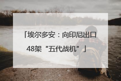 埃尔多安：向印尼出口48架“五代战机”