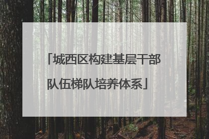 城西区构建基层干部队伍梯队培养体系