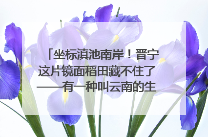 坐标滇池南岸！晋宁这片镜面稻田藏不住了——有一种叫云南的生活之365天