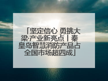 坚定信心 勇挑大梁·产业新亮点丨秦皇岛智慧消防产品占全国市场超四成