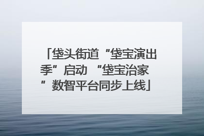 垡头街道“垡宝演出季”启动 “垡宝治家”数智平台同步上线