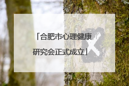合肥市心理健康研究会正式成立