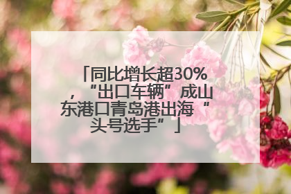 同比增长超30%，“出口车辆”成山东港口青岛港出海“头号选手”