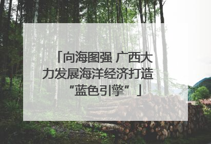 向海图强 广西大力发展海洋经济打造“蓝色引擎”