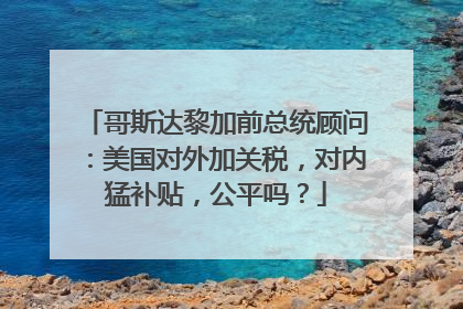 哥斯达黎加前总统顾问：美国对外加关税，对内猛补贴，公平吗？