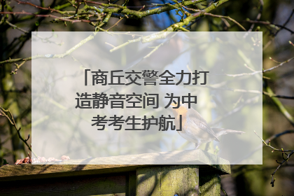 商丘交警全力打造静音空间 为中考考生护航