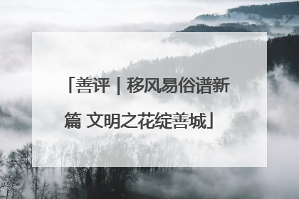善评｜移风易俗谱新篇 文明之花绽善城