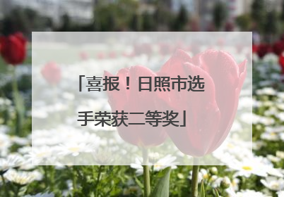 喜报！日照市选手荣获二等奖