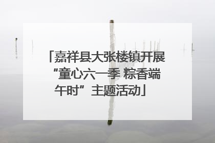 嘉祥县大张楼镇开展“童心六一季 粽香端午时”主题活动