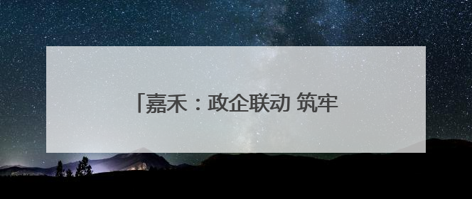 嘉禾：政企联动 筑牢安全生产“防火墙”