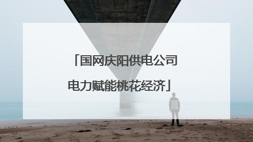 国网庆阳供电公司电力赋能桃花经济