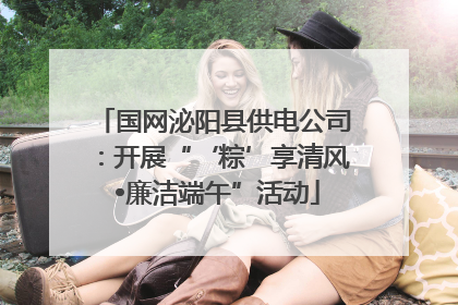国网泌阳县供电公司：开展“‘粽’享清风 •廉洁端午”活动