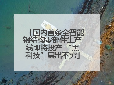 国内首条全智能钢结构零部件生产线即将投产 “黑科技”层出不穷
