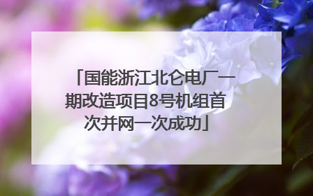 国能浙江北仑电厂一期改造项目8号机组首次并网一次成功