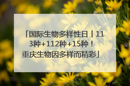 国际生物多样性日丨113种+112种+15种！重庆生物因多样而精彩