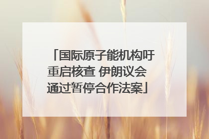国际原子能机构吁重启核查 伊朗议会通过暂停合作法案