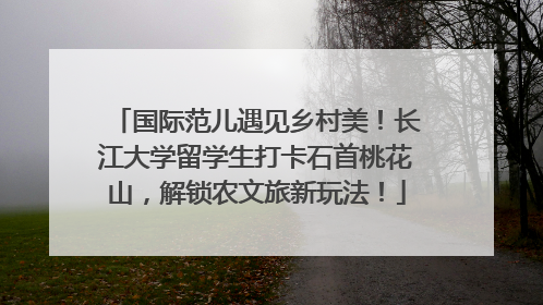 国际范儿遇见乡村美！长江大学留学生打卡石首桃花山，解锁农文旅新玩法！