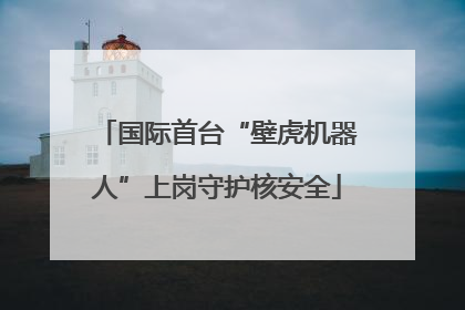国际首台“壁虎机器人”上岗守护核安全