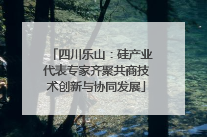 四川乐山：硅产业代表专家齐聚共商技术创新与协同发展