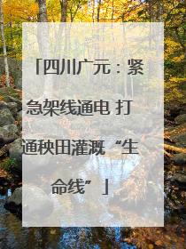 四川广元：紧急架线通电 打通秧田灌溉“生命线”