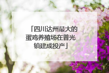 四川达州最大的蛋鸡养殖场在普光镇建成投产