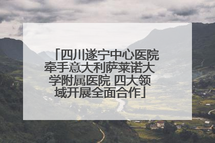 四川遂宁中心医院牵手意大利萨莱诺大学附属医院 四大领域开展全面合作