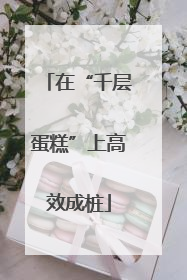 在“千层蛋糕”上高效成桩