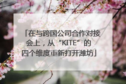 在与跨国公司合作对接会上，从“KITE”的四个维度重新打开潍坊